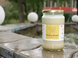 عسل شیر پرنده - 900 گرم