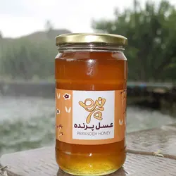 عسل طبیعی پرنده - 900 گرم
