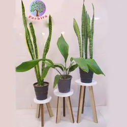 پایه گلدان سه پایه &ndash; فروشگاه دکوریجات منزل