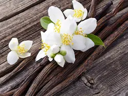 اسانس خوشبو کننده اُرینتال سِکرت ( Oriental Secret )