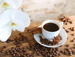 اسانس خوشبو کننده کلاسیک تلخ ( Classic Bitter )