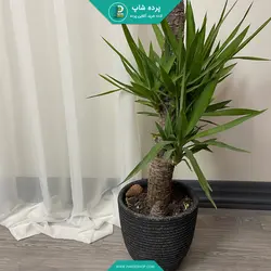 پرده حریر مات مدل چین دار همراه نوار و دوخت (دارای رنگبندی) - پرده شاپ