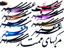 مرکب 60 میلی لیتر ممتاز