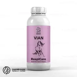 شربت تقویت نفس vian