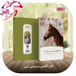 کتاب در ذهن اسب چه می گذرد؟