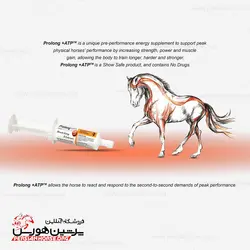 خمیر انرژی Prolong+ATP