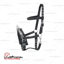 کلگی لنژ برزنتی والدهازن