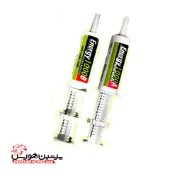 ENERGY 1000 A & B