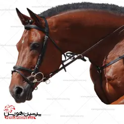 آبخوری پسوا