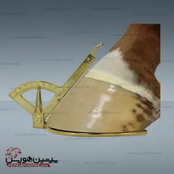 زاویه سنج سم اسب