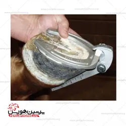 زاویه سنج سم اسب