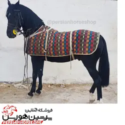 جل زمستانه نمدی