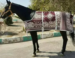 جل زمستانه نمدی