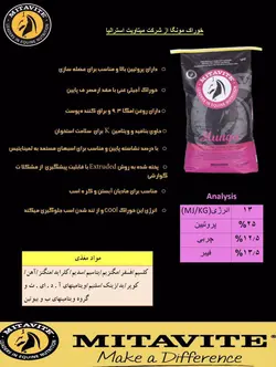 کنسانتره مونگا Munga