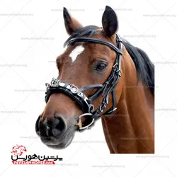 کلگی لنژ چرمی والدهازن