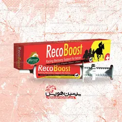 Recoboost