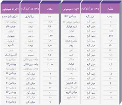 خوراک آجیلی سیلمی دکتر هورس