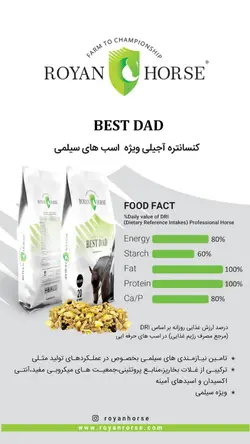 خوراک آجیلی ویژه اسب های سیلمی Best Dad