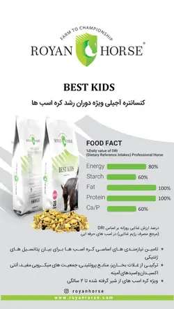 خوراک آجیلی ویژه کره در حال رشد Best kids