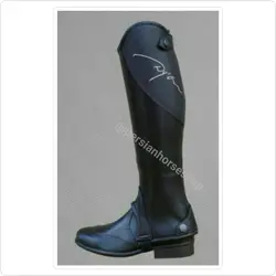 گتر دیون Dyon
