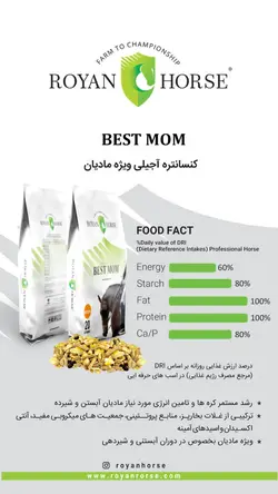 کنسانتره آجیلی ویژه مادیان های آبستن و شیرده Best mom