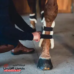 تاندون بند خزدار فوگانزا