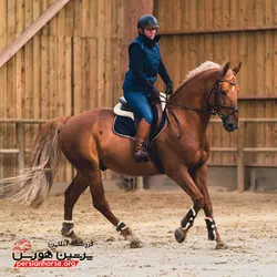 تاندون بند خزدار فوگانزا