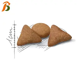 غذای خشک گربه رویال کنین مدل بریتیش ادالت 2 کیلوگرمی