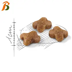 غذای خشک گربه رویال کنین مدل کیتن 2 کیلوگرمی