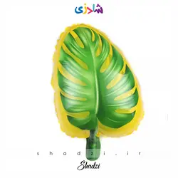 بادکنک برگ انجیری (۲)