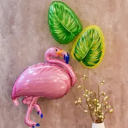 بادکنک برگ انجیری (۲)