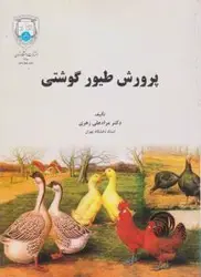 پرورش طیور گوشتی