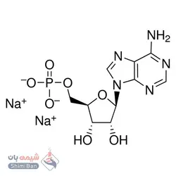 نمک سدیم آدنوزین 5-مونوفسفات(Adenosine 5′-monophosphate disodium salt)