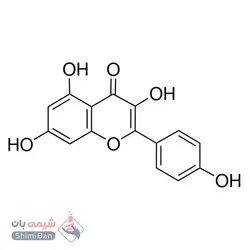 کامپفرول(Kaempferol)