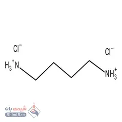 دی آمینو بوتان دی هیدروکلراید