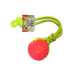 اسباب بازی توپ آموزشی zarix