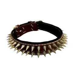 قلاده گردنی چرم پرچدار دولایه