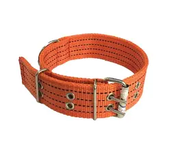 قلاده گردنی سگ برزنتی