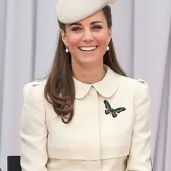 سنجاق سینه پروانه کد g56