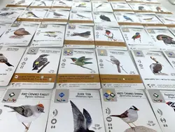 Wingspan: Oceania Expansion