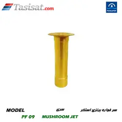 سر فواره برنزی استخر پول استار POOLSTAR سری MUSHROOM JET مدل PF 09