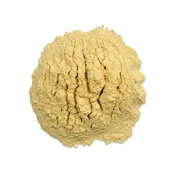 خرید و قیمت پودر سیر-100گرمی