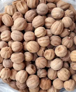 لیمو عمانی