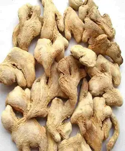 زنجبیل