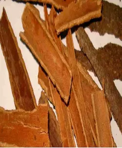 چوب دارچین