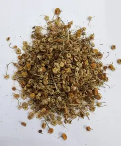 بابونه