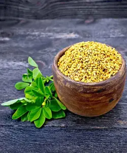 تخم شنبلیله