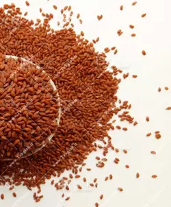 تخم شاهی