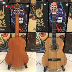 گیتار پارسی m1