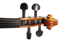 ویولن برگمولر V 500